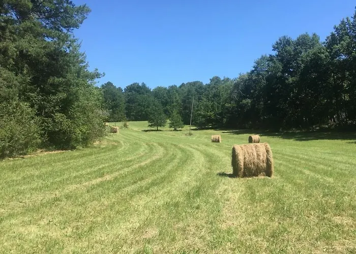 Nyaraló Theveny, Le Couchant Saint-Astier